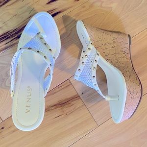 New platforms by Venus